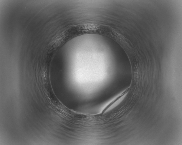 X0000055970608200509091446