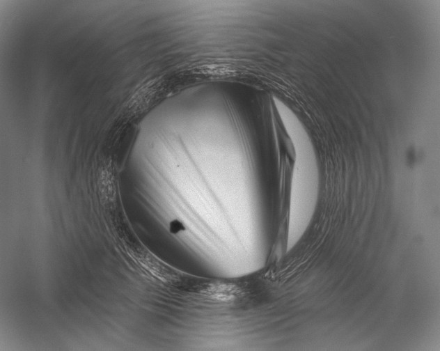 X0000055970609200509091446