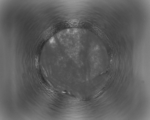 X0000055970610200509091446