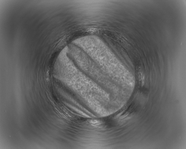 X0000055970611200509091446