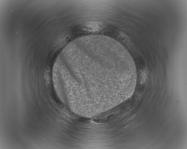 X0000055970612200509091446