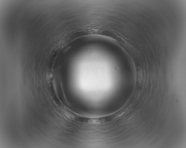 X0000055970613200509091446