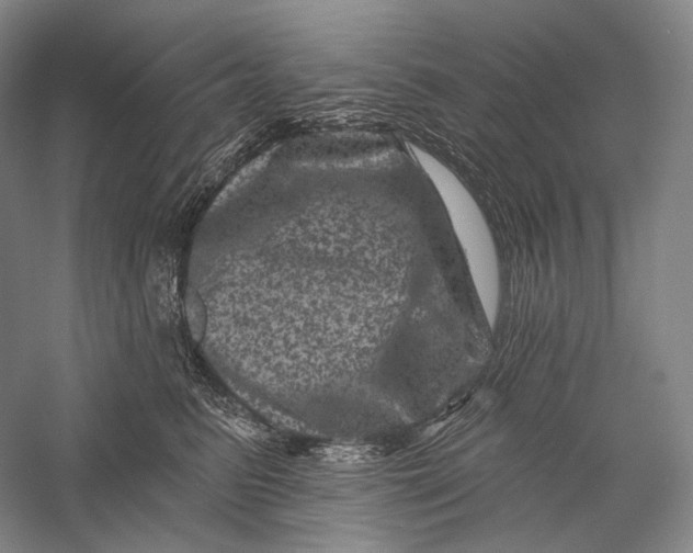 X0000055970615200509091446
