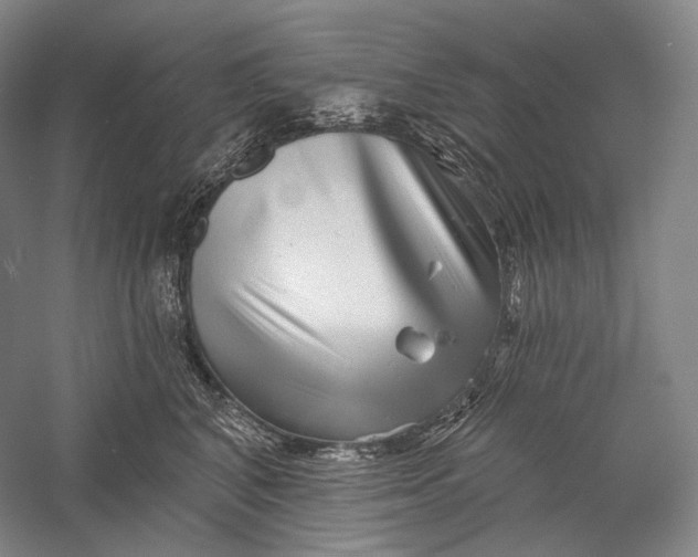 X0000055970616200509091446