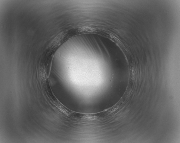 X0000055970617200509091446