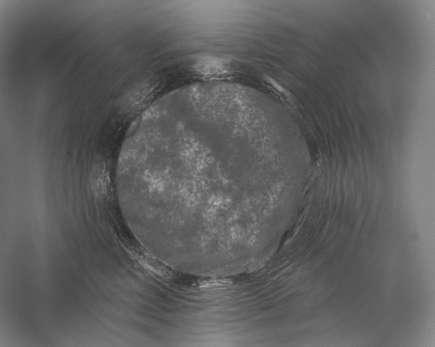 X0000055970618200509091446