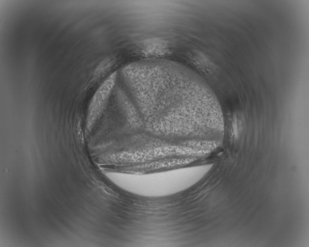 X0000055970619200509091446