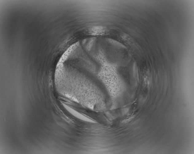 X0000055970620200509091446