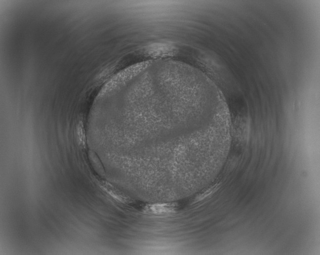X0000055970622200509091445