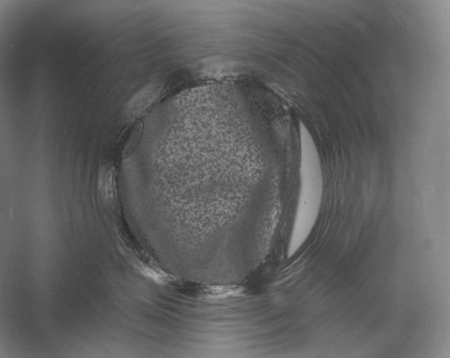 X0000055970623200509091445