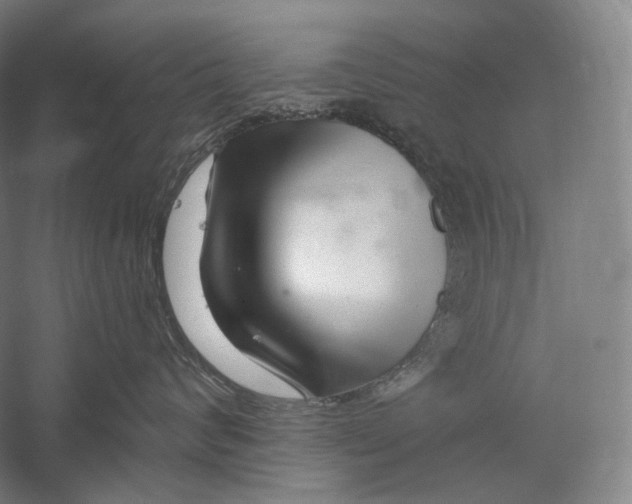 X0000055970624200509091445