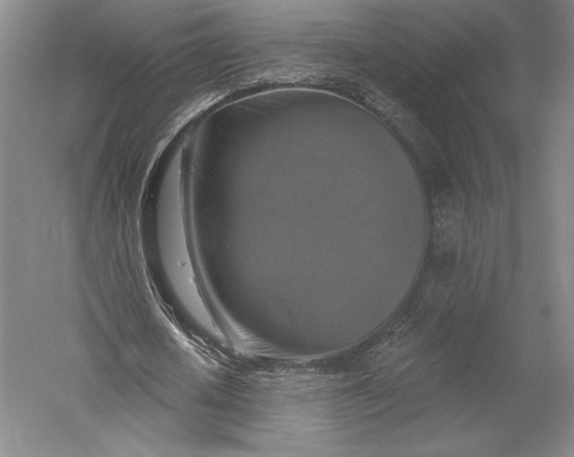 X0000055970626200509091445
