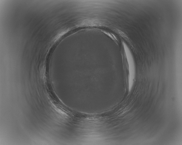 X0000055970627200509091445