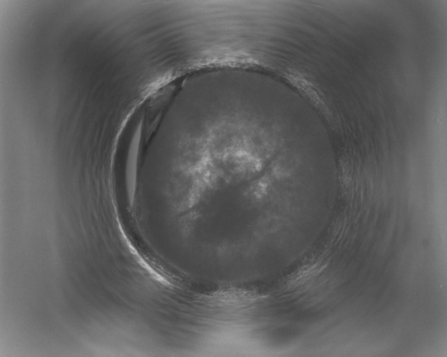 X0000055970630200509091445