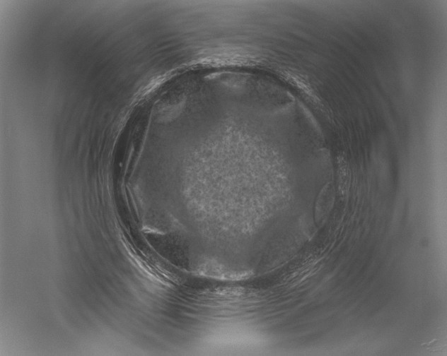 X0000055970631200509091445