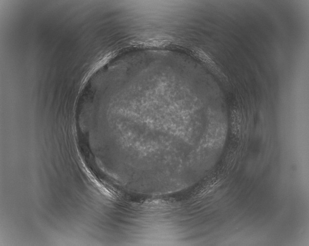 X0000055970634200509091445