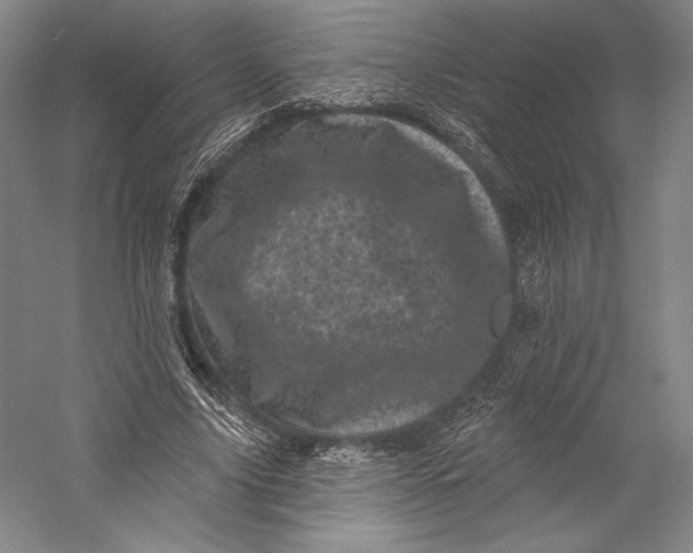 X0000055970635200509091445