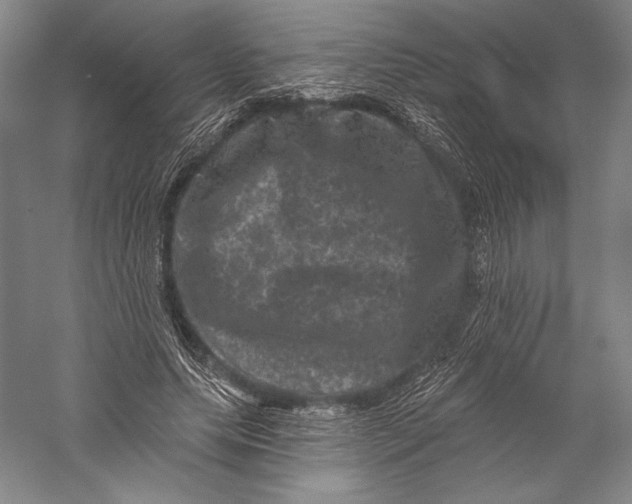X0000055970639200509091445