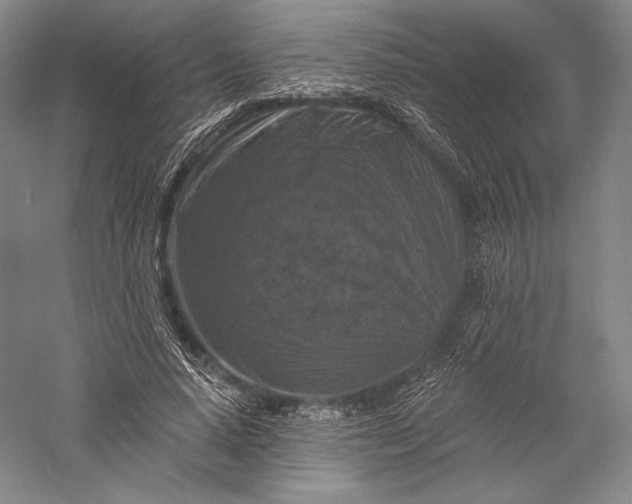 X0000055970640200509091445