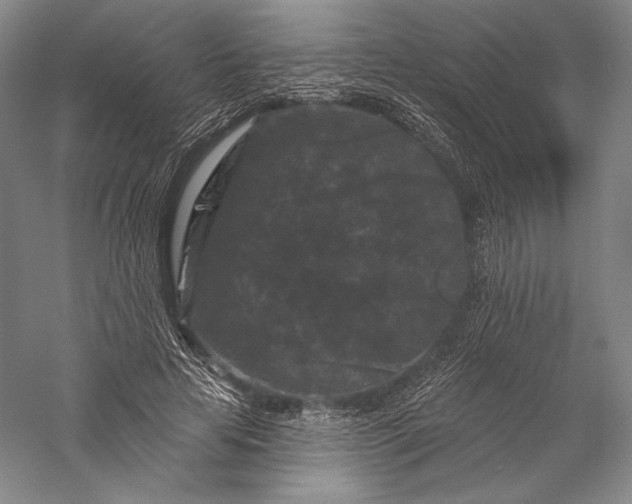 X0000055970641200509091445
