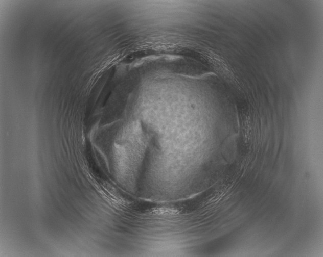 X0000055970644200509091445