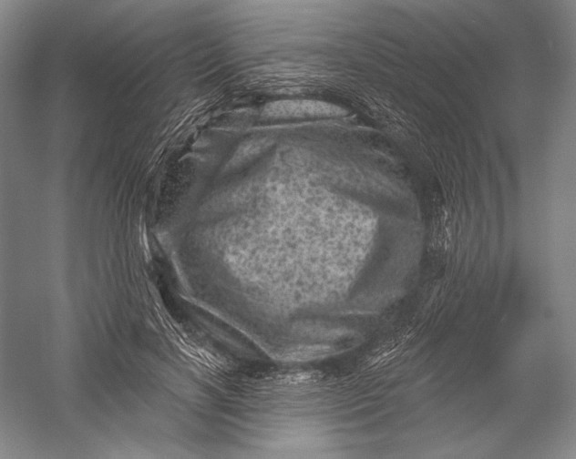 X0000055970646200509091445