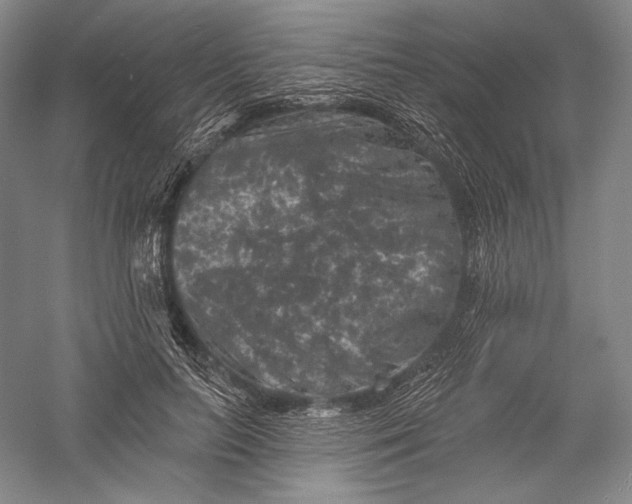 X0000055970647200509091445