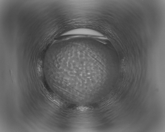 X0000055970650200509091445