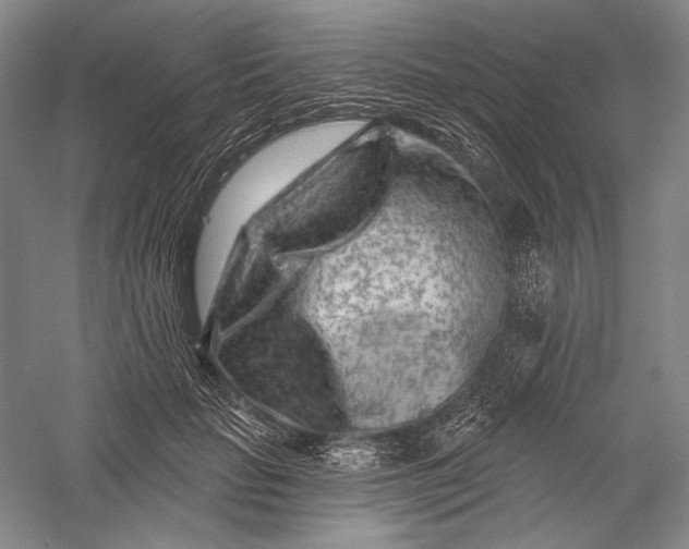 X0000055970653200509091445