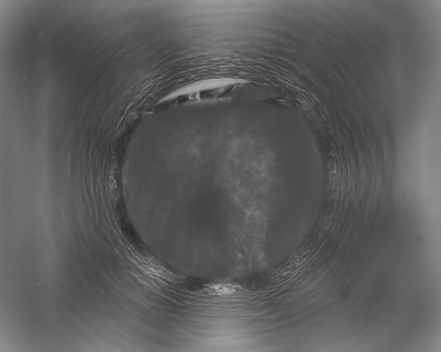 X0000055970654200509091445