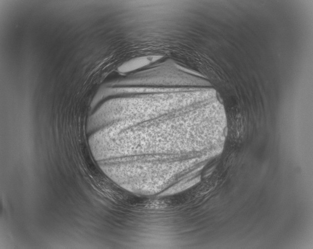 X0000055970656200509091445