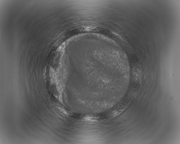 X0000055970657200509091445