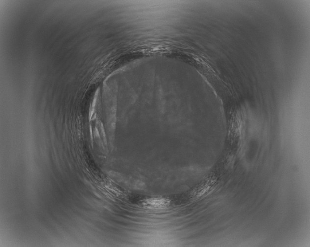 X0000055970659200509091445