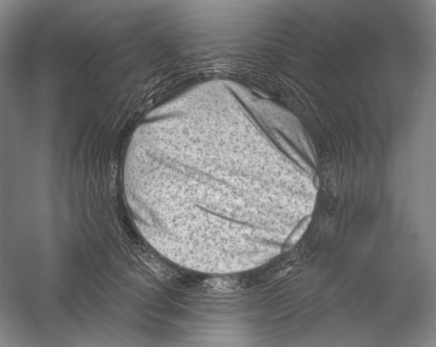 X0000055970660200509091445