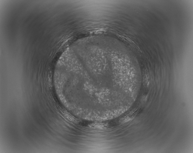 X0000055970661200509091445