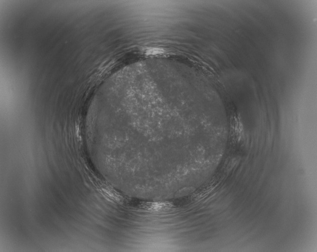 X0000055970663200509091445