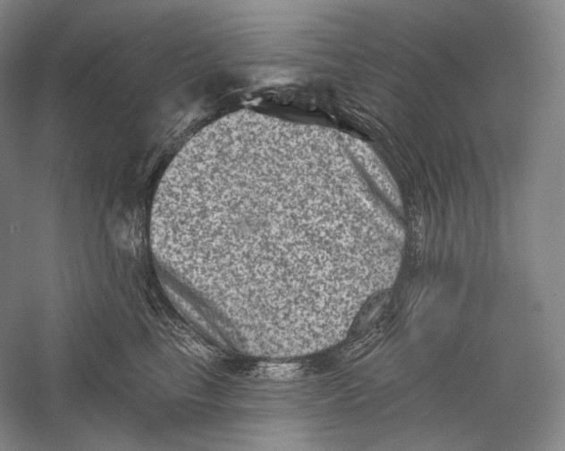 X0000055970665200509091445