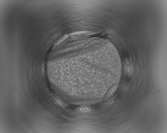 X0000055970668200509091445