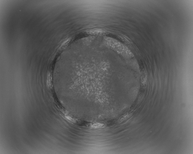 X0000055970669200509091445
