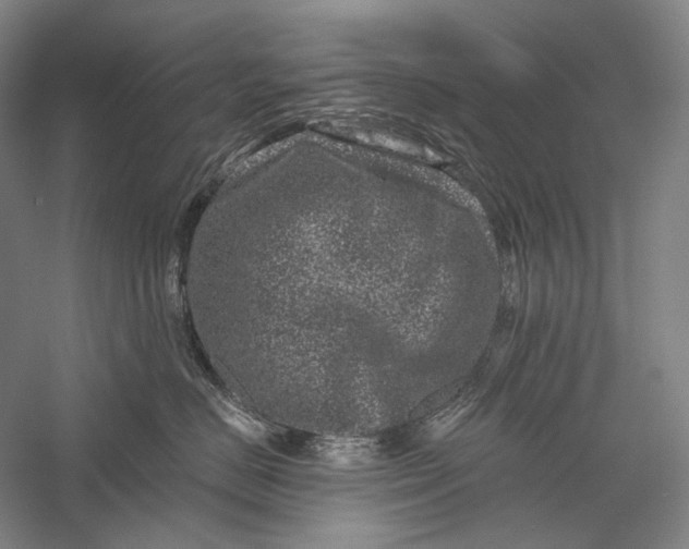 X0000055970670200509091445