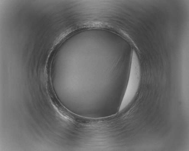 X0000055970674200509091445