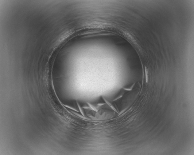 X0000055970675200509091445