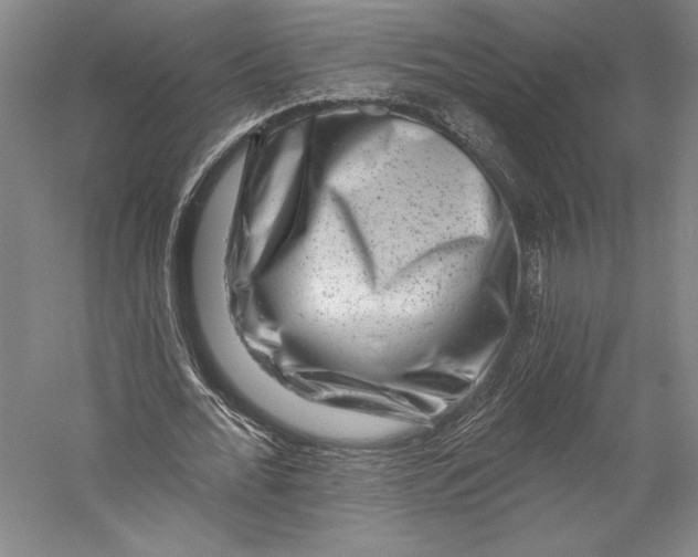 X0000055970676200509091445