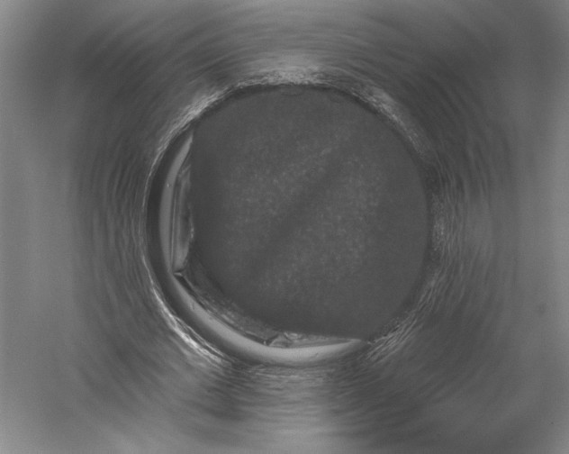 X0000055970677200509091445