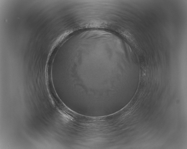 X0000055970678200509091445