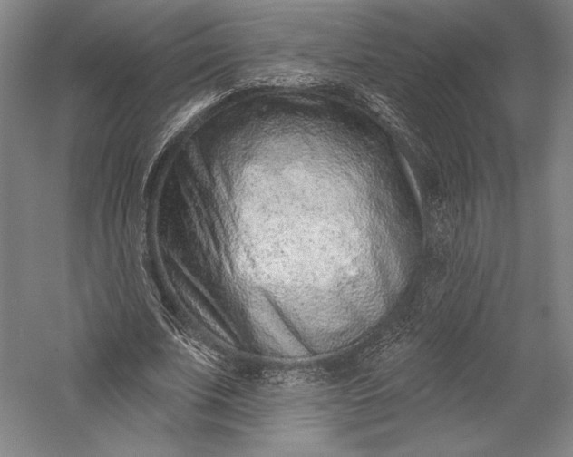X0000055970679200509091445