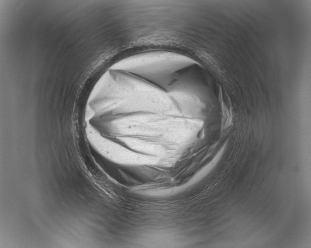 X0000055970680200509091444