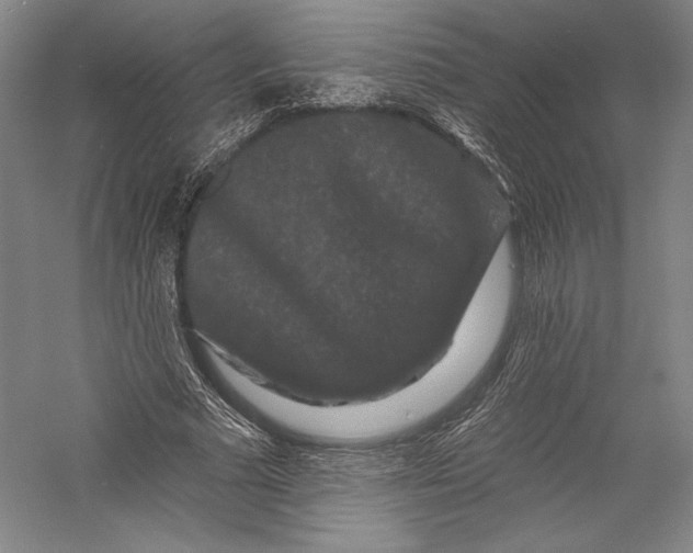 X0000055970681200509091444