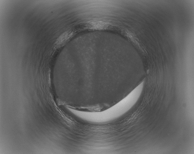 X0000055970685200509091444