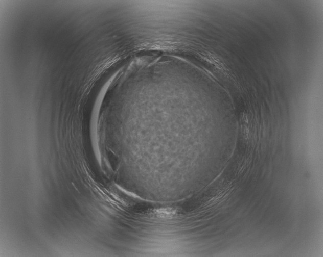 X0000055970692200509091444